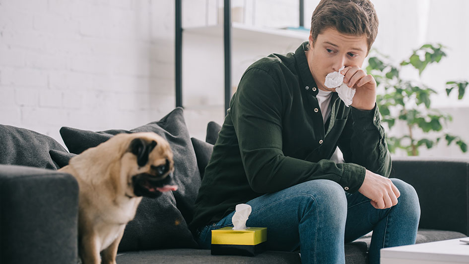 Installing an air purifier is one of the smartest methods to boost your residence’s indoor air quality. Learn more about the three smartest products. 